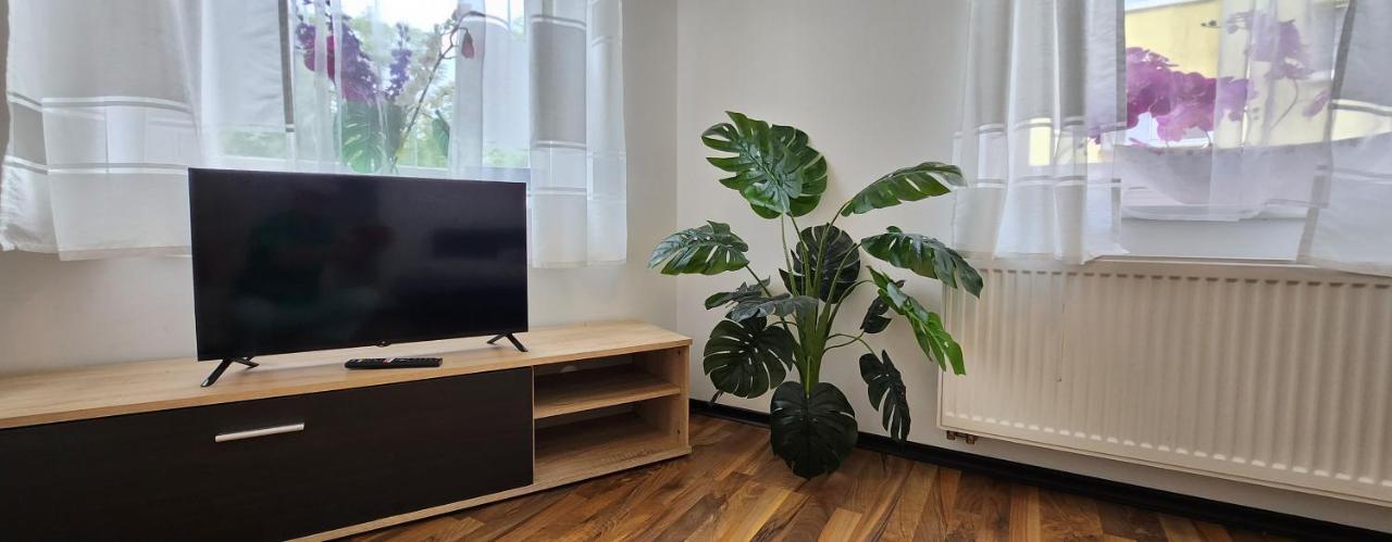 Zentrum Orchidee, 5min Vom Hbf, Düsseldorf Messe Und Flughafen 35 Min Apartment